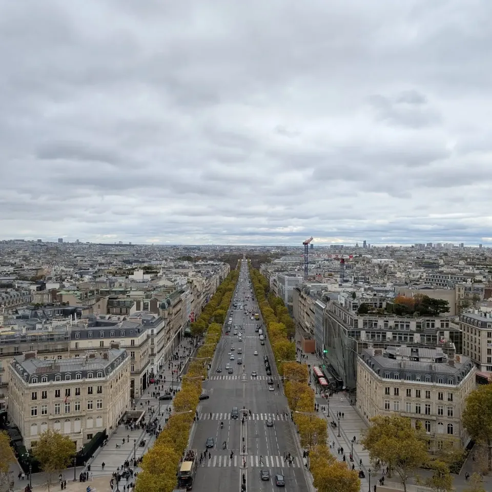 The Champs-Élysées seen from above, lined with autumn trees